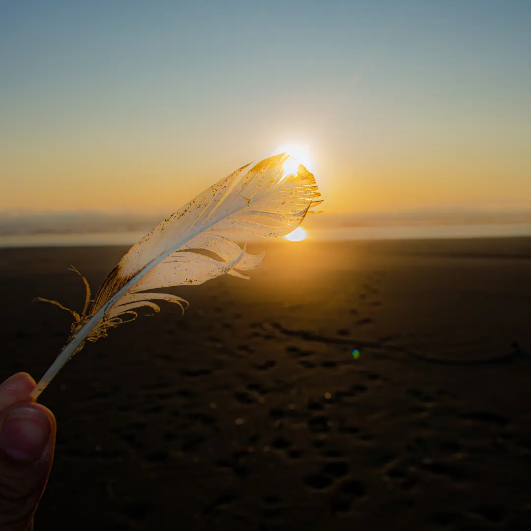 Main tenant une plume devant le soleil couchant, symbolisant introspection, calme et sérénité dans la nature
